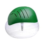 Air Revitalizer