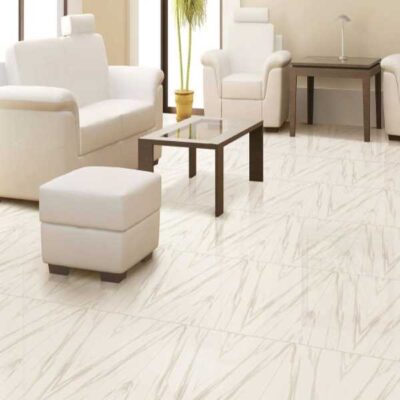 AV-1 Floor Cleaner Plus - Image 2
